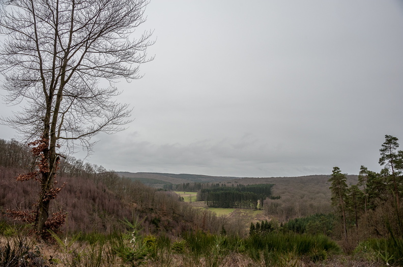 DSC_3689.jpg